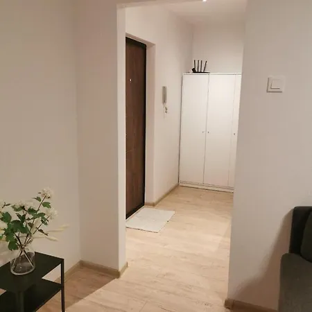 Modern Studio Debreceno, Self-Check-In, Free Parking Klaipeda Exterior photo
