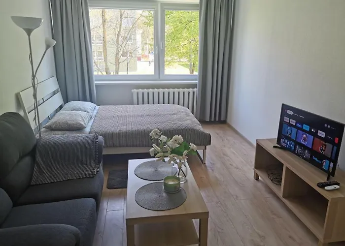 Modern Studio Debreceno, Self-Check-In, Free Parking